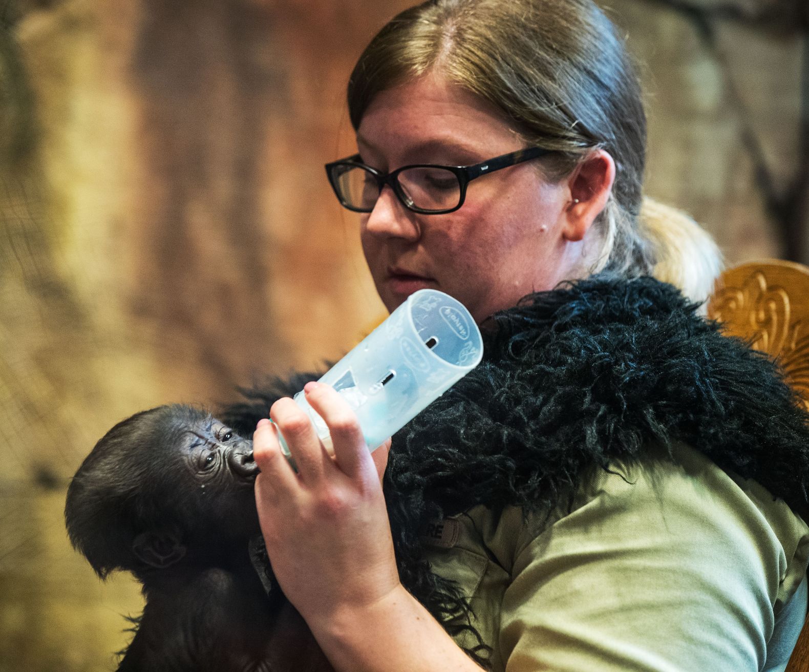 Baby gorilla debuts at Henry Doorly Zoo